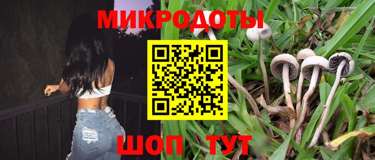 Среднеуральск  Галлюциногенные грибы Cubensis  Вход с VPN 